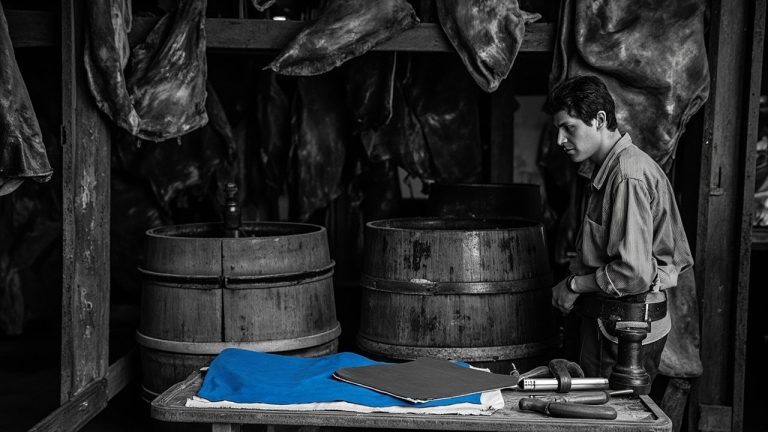 formations corroyeur tanneur: guide et débouchés réels